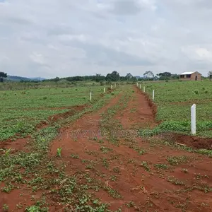 Veryprime New Estate With Ready Private Title Onsale Katende
