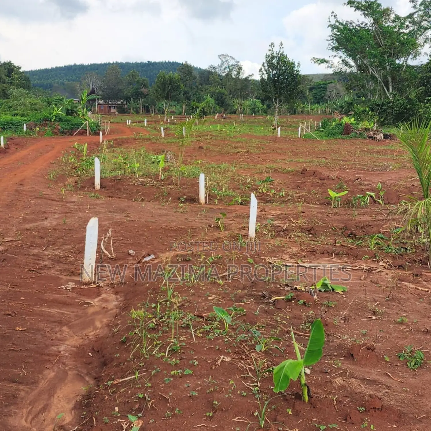 Arleady Private Mile Titled Plots Sale in Lungala Masaka Rd