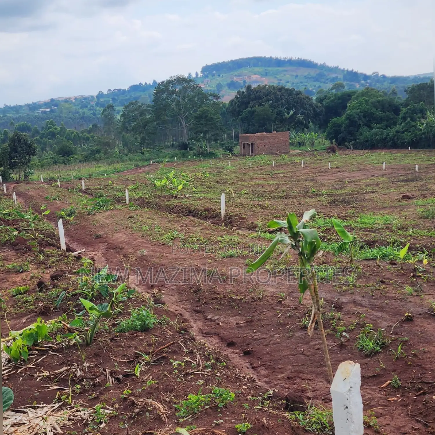 Arleady Private Mile Titled Plots Sale in Lungala Masaka Rd