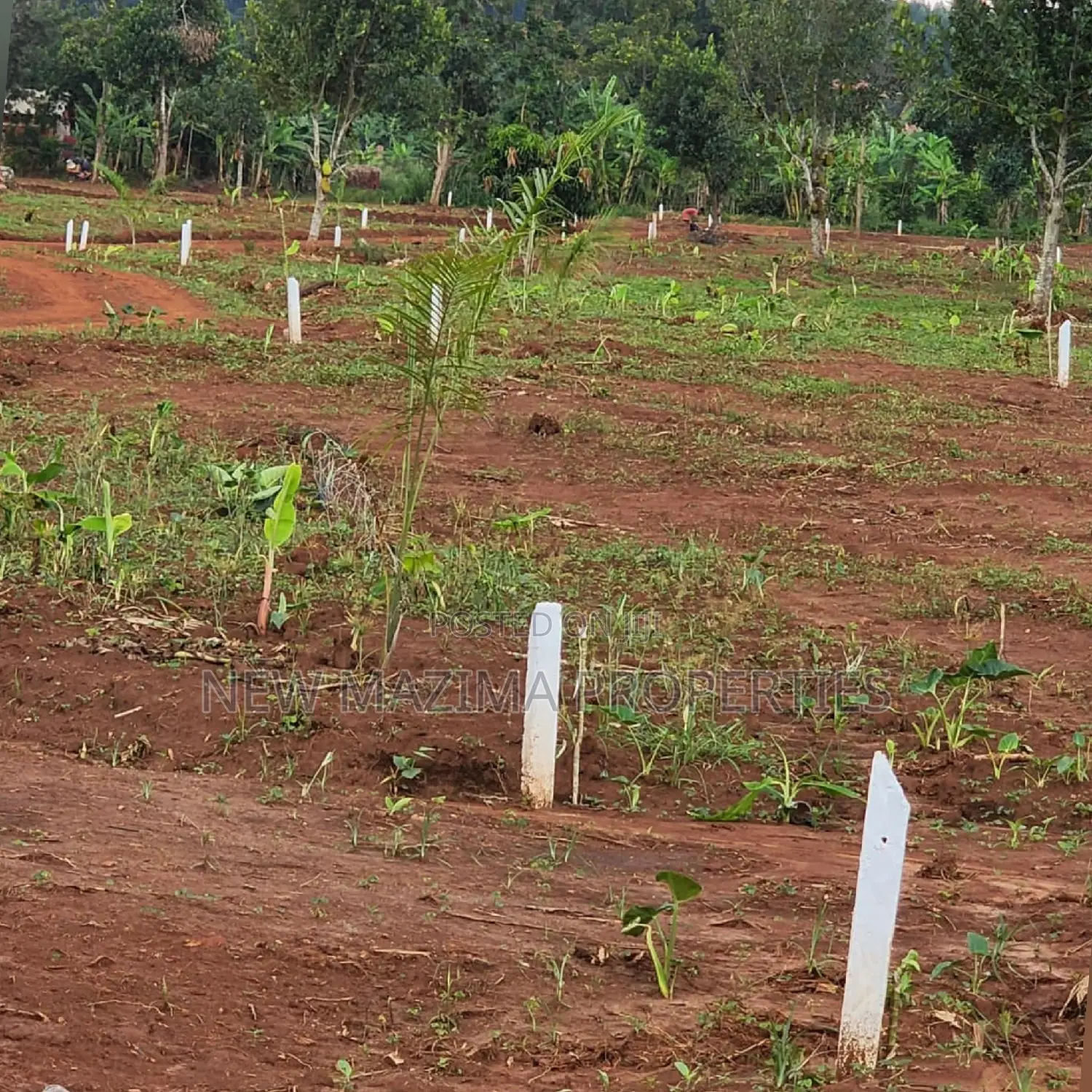 Arleady Private Mile Titled Plots Sale in Lungala Masaka Rd