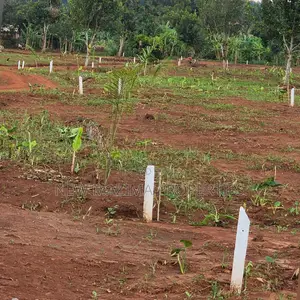 Arleady Private Mile Titled Plots Sale in Lungala Masaka Rd