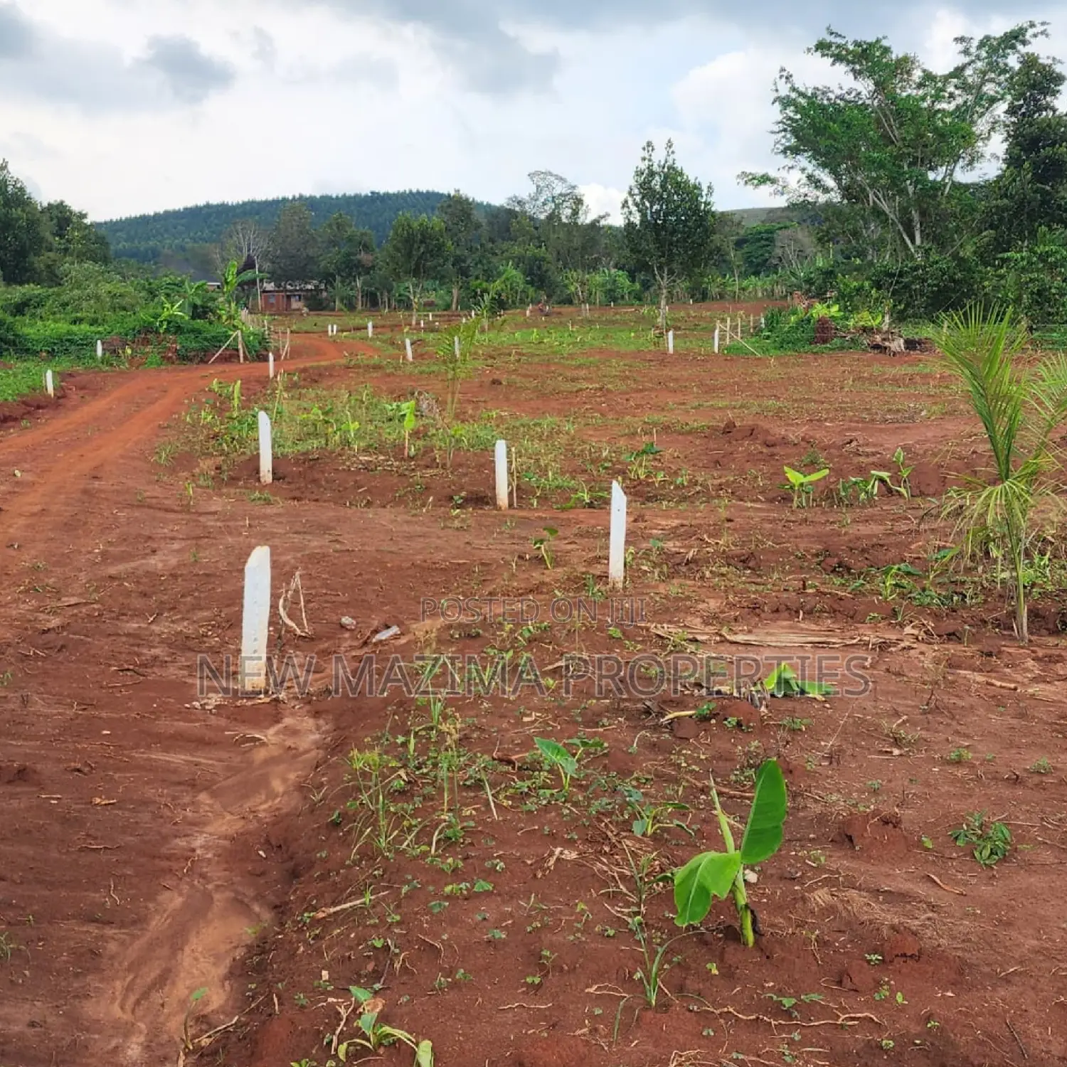 Arleady Private Mile Titled Plots Sale in Lungala Masaka Rd