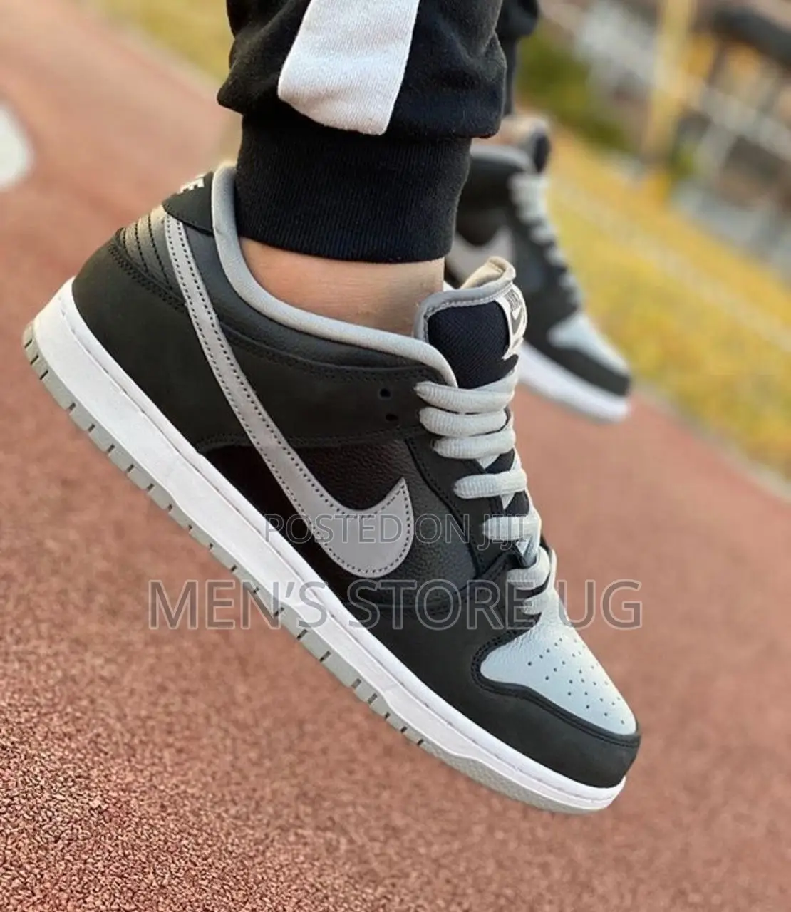 Nike Dunk Sb Low Cat Black And Gray