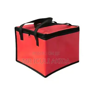 Foldable Thermo Insulated Waterprof Cooler Food Delivery Bag