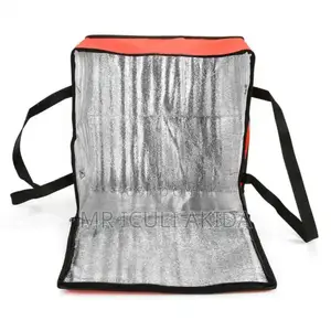 Foldable Thermo Insulated Waterprof Cooler Food Delivery Bag