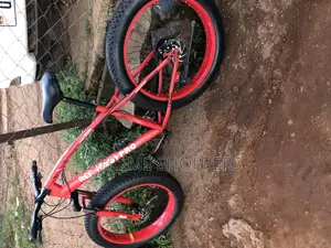 Reef Pro Sports Bike / Bicycle