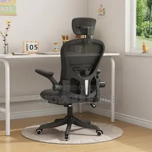 Executive Ergonomic Office Chair