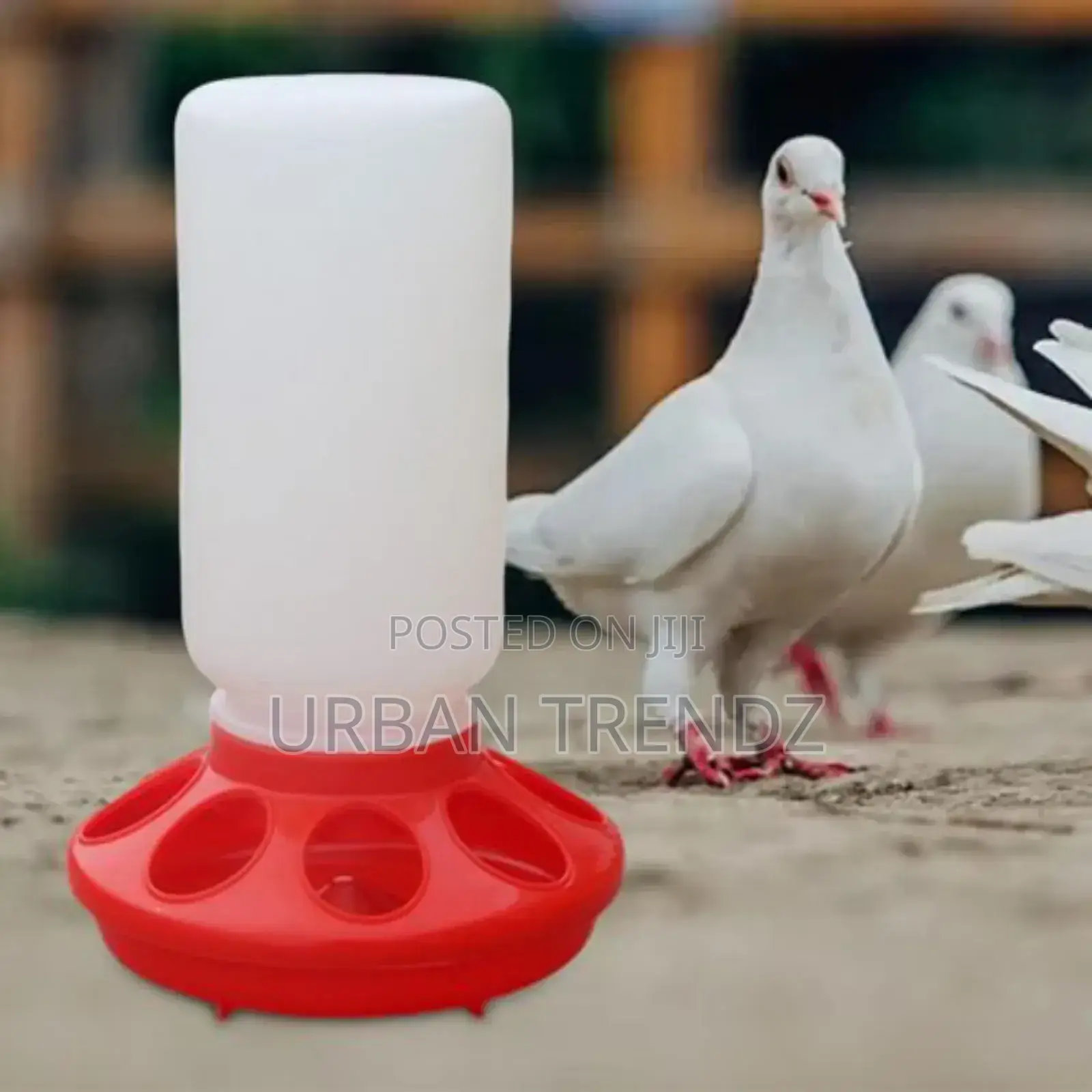 Poultry Feeder Chicken Drinker Portable Water Dispenser
