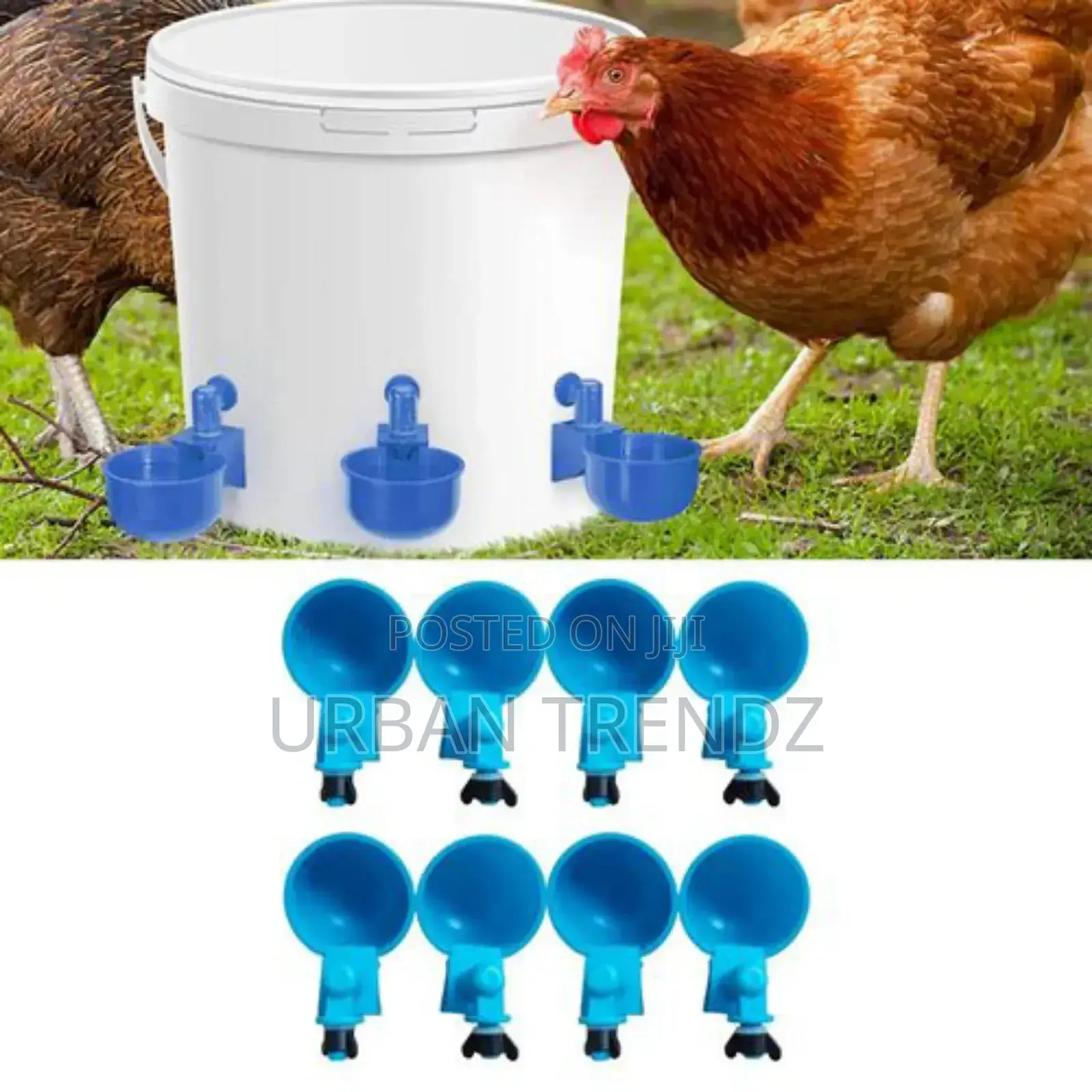 Chicken Water Cups, Chicken Drinker Cups, Water