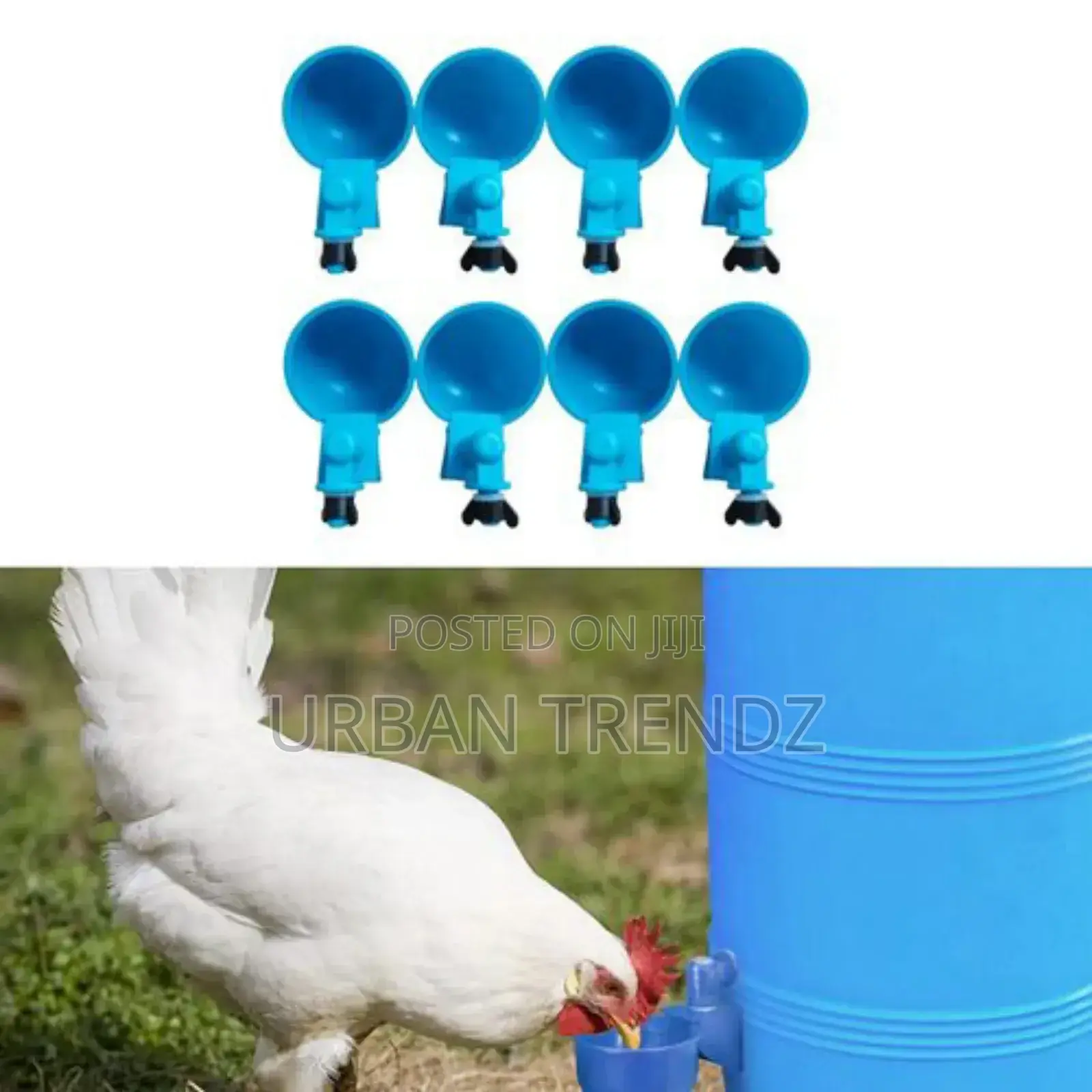 Chicken Water Cups, Chicken Drinker Cups, Water