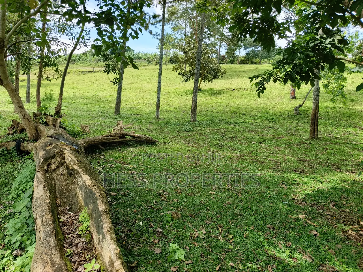 2acres of Land at Lake Saaka on Sale Located in Fortportal
