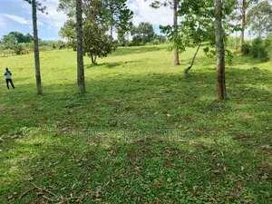 2acres of Land at Lake Saaka on Sale Located in Fortportal