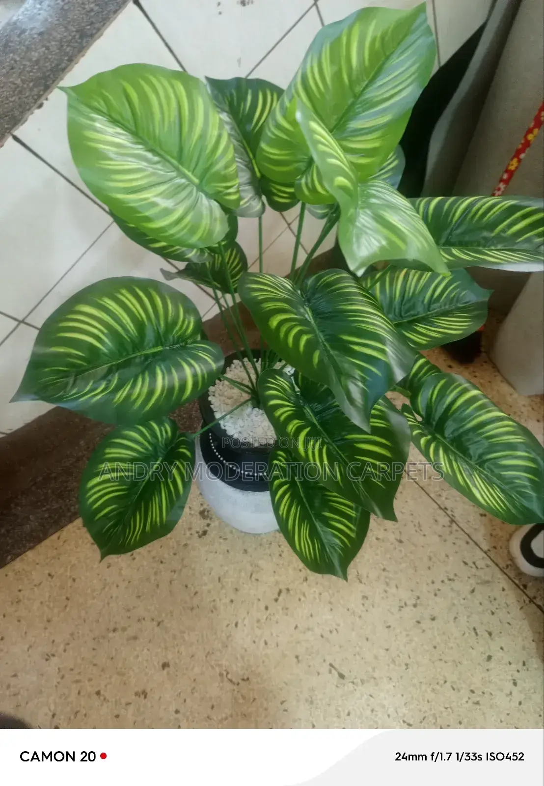 Morden Artificial Plant