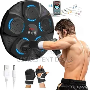 Wall Mounted Boxing Machine (6 Grids)
