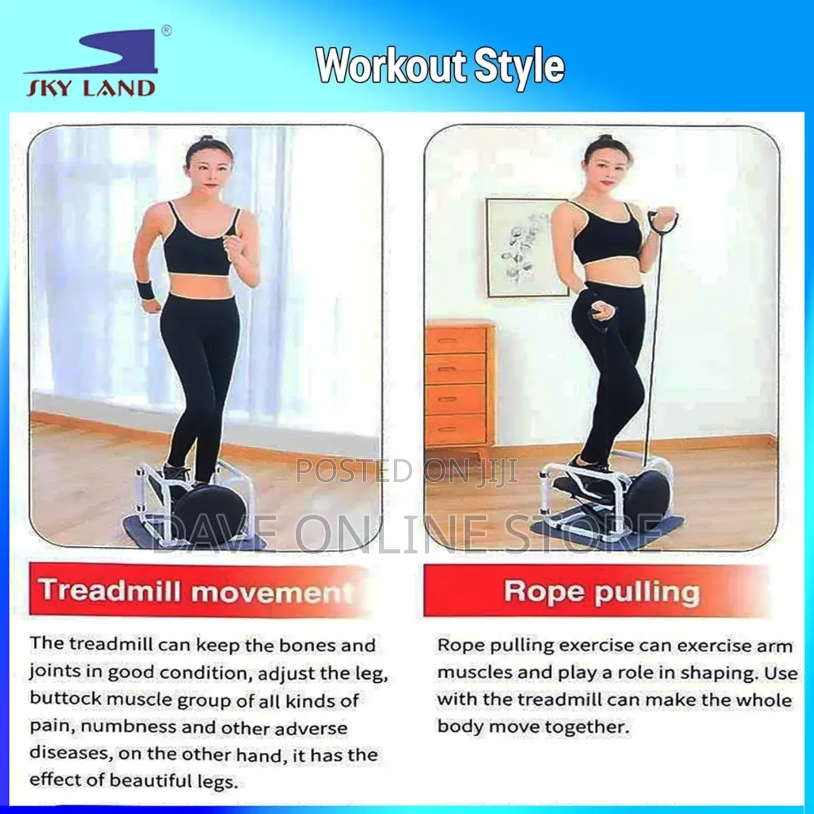 4-in-1 Stepper Chair Twister, Resistance Bands, White