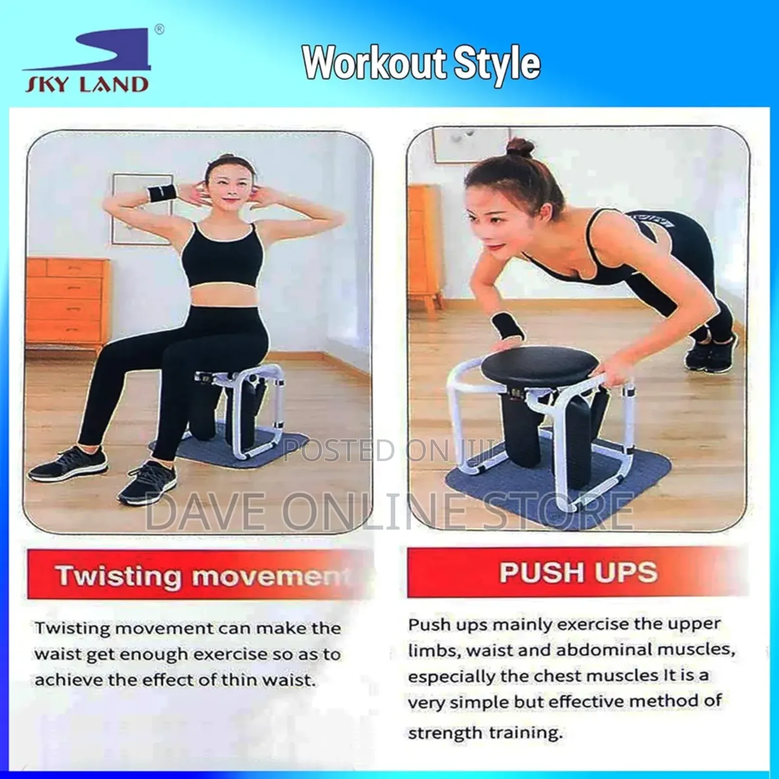 4-in-1 Stepper Chair Twister, Resistance Bands, White