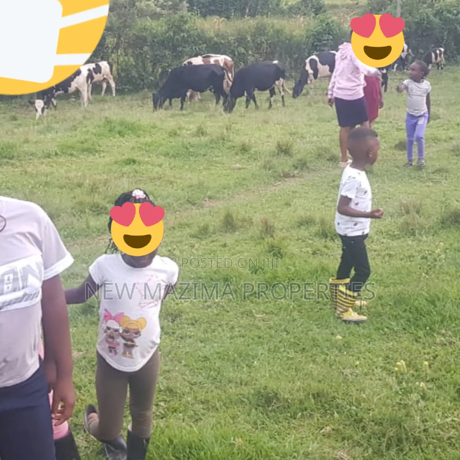 Very Strategic 400 Acres for Both Cattle Grazing and Farming