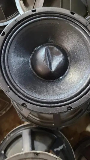 Woofer Speaker 10inch Coil 75.5 Cm