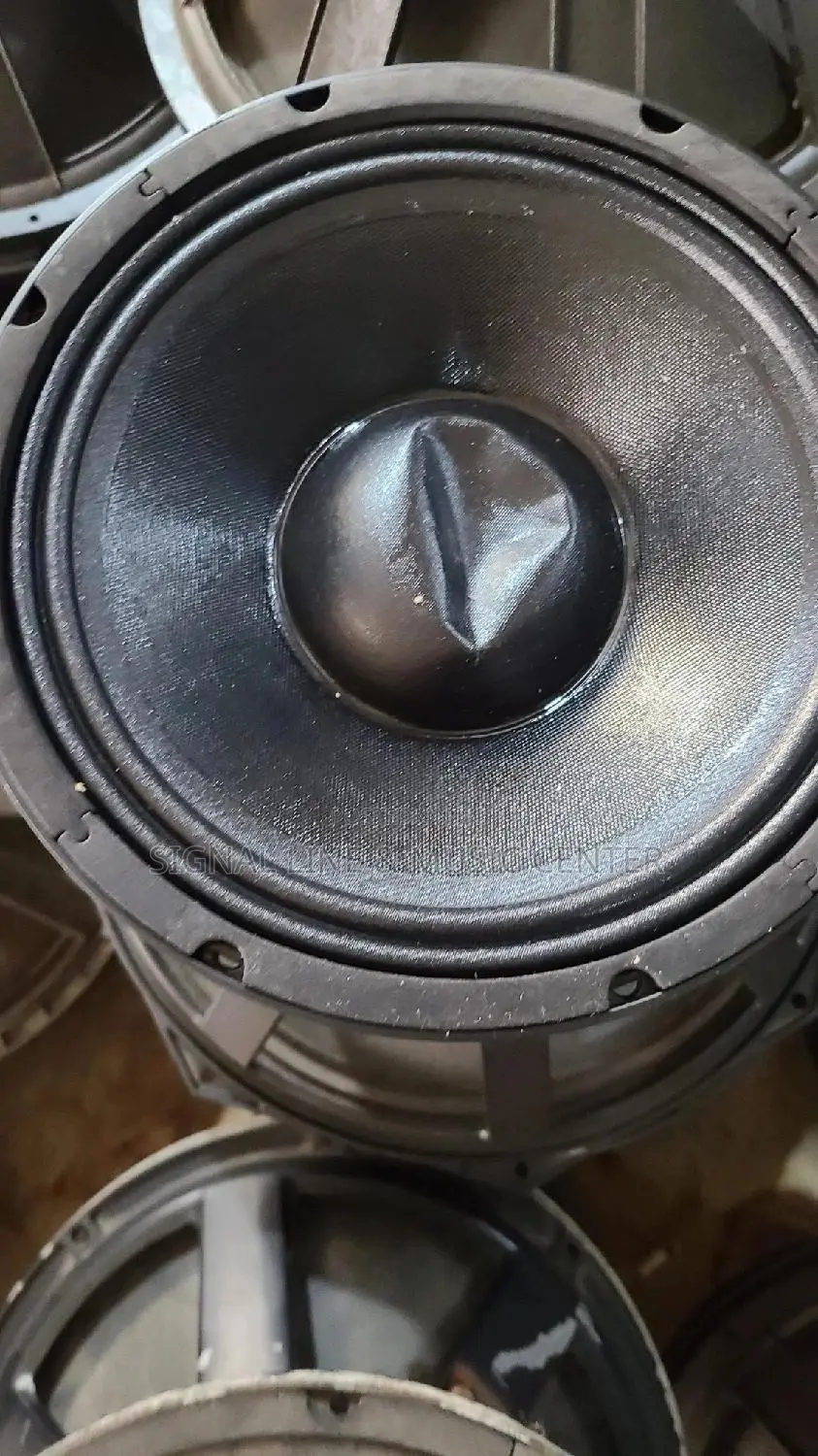 Woofer Speaker 10inch Coil 75.5 Cm