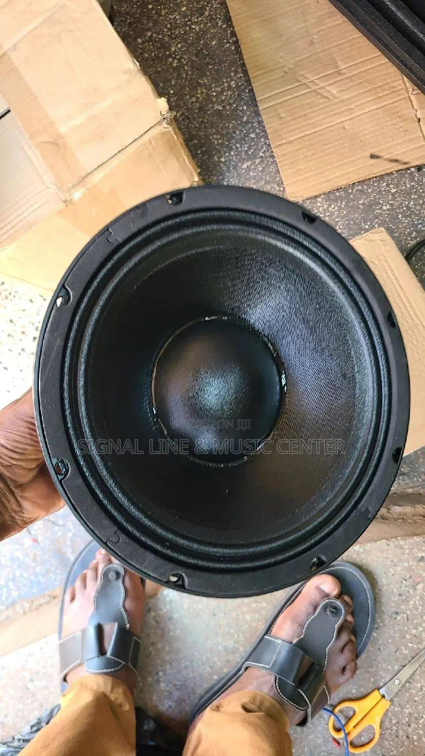 Woofer Speaker 10inch Coil 75.5 Cm