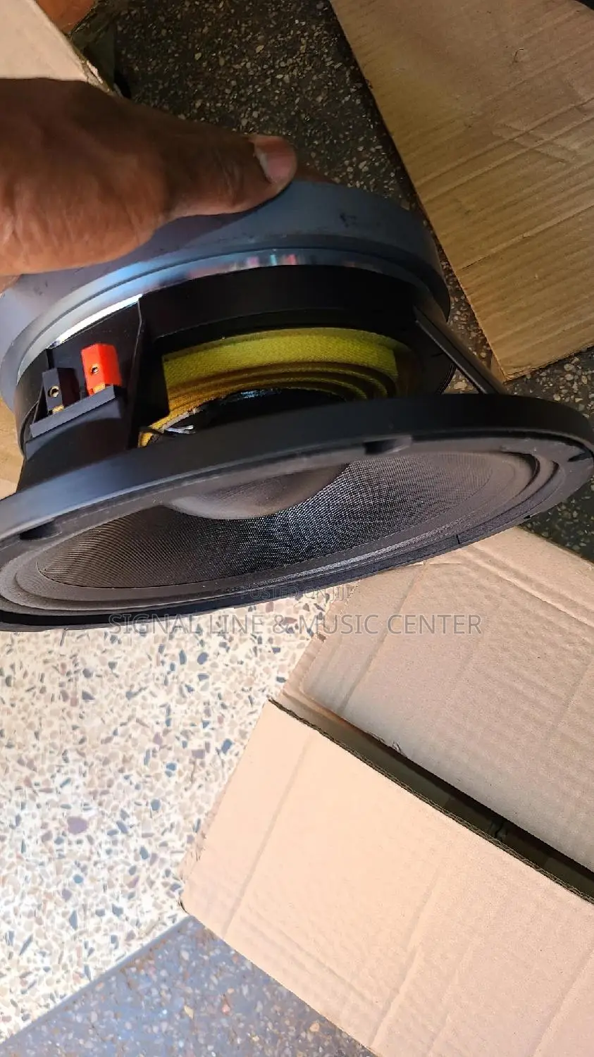 Woofer Speaker 10inch Coil 75.5 Cm