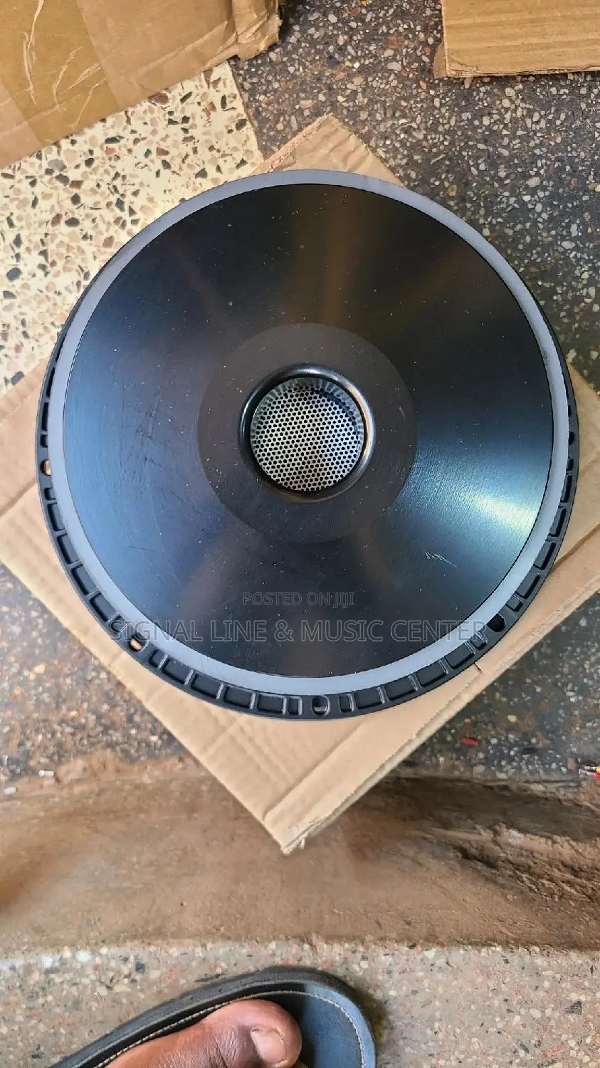 Woofer Speaker 10inch Coil 75.5 Cm