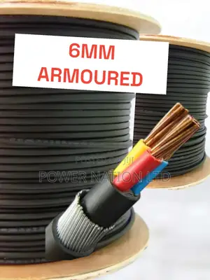6mm 3 Core Armoured/Underground Cable