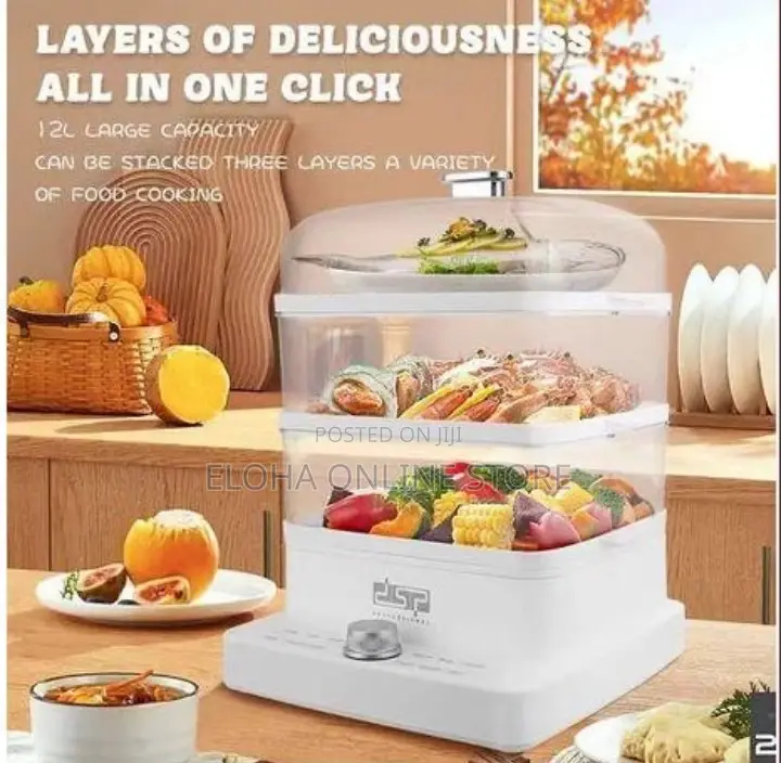 DSP Electric Food Steamer