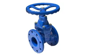 Photo - Flanged Gate Valve