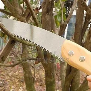Pruning Saw With Wiseup