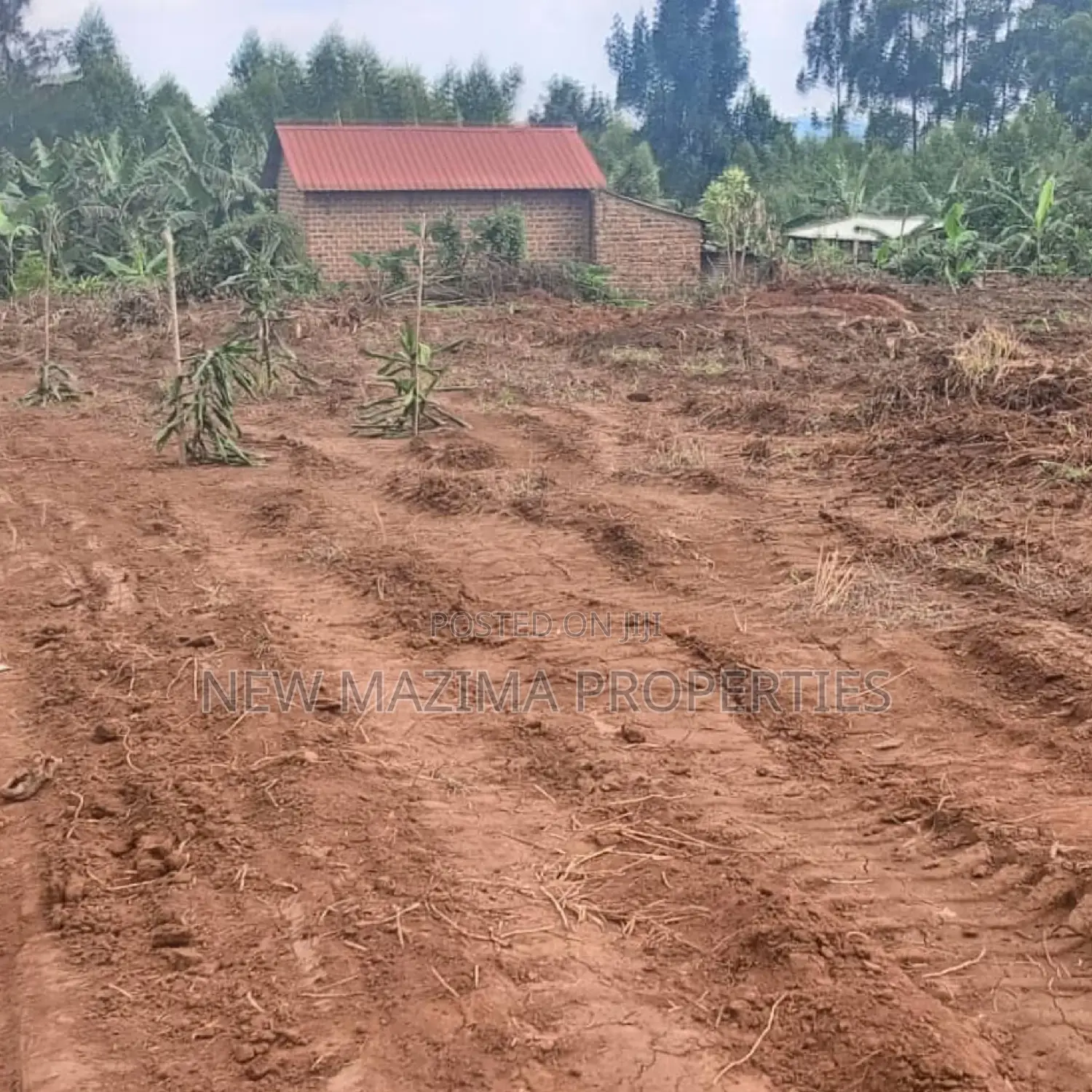 Affordable Plots On Quicksale In The Heart Of Matuga Kiwebwa