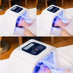 Electric Sled Face Facial