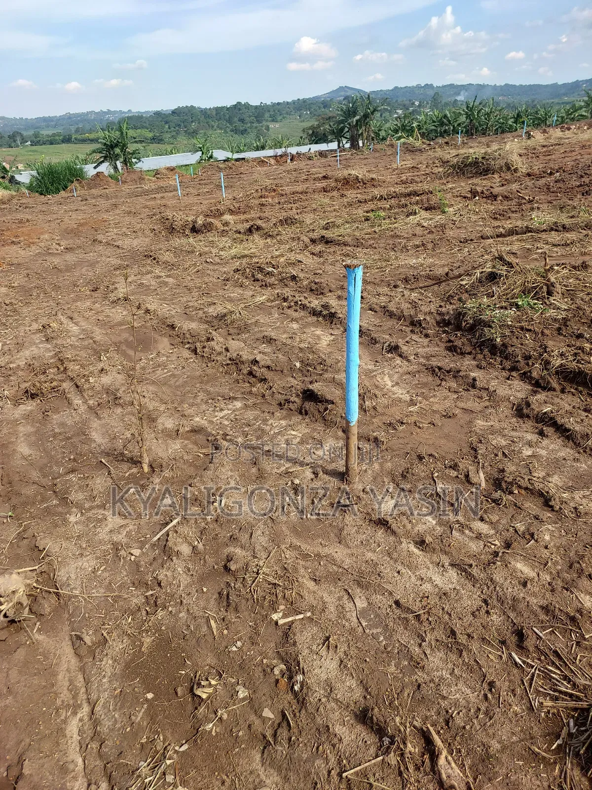 Plot for Sale on Tarmac Road