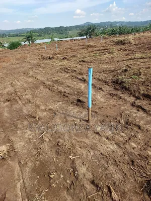 Plot for Sale on Tarmac Road