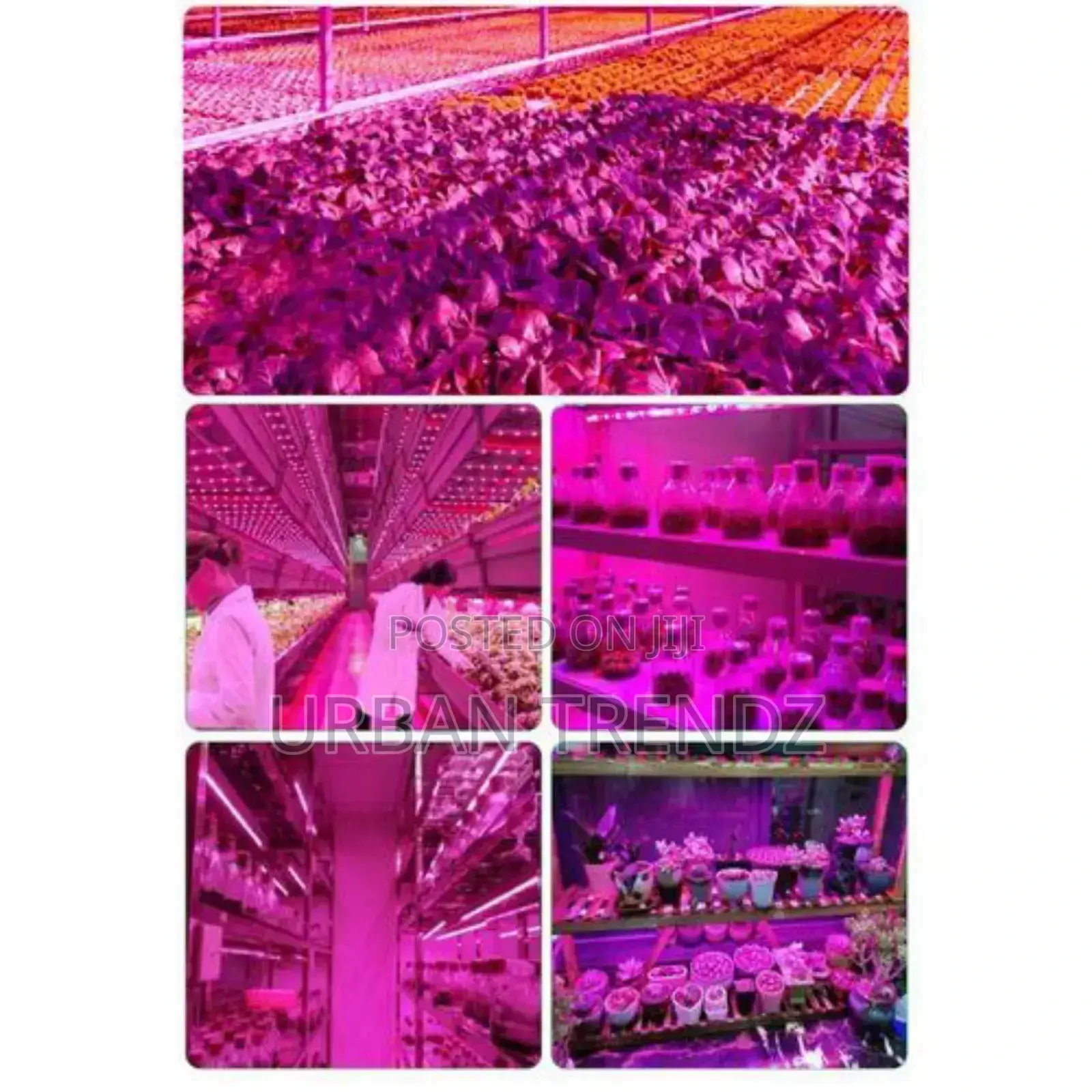 LED Grow Light Full Spectrum USB Grow Light Strip 5M 2835