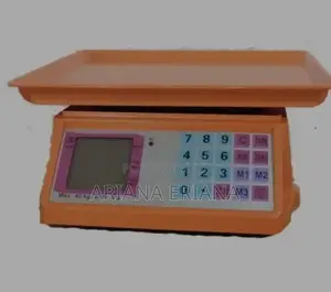 Photo - New Electronic Price Computing Weighing Scale