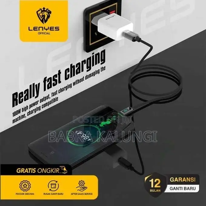 Lenyes Lc102 USB C to USB C Cable 5A Pd 100W LED