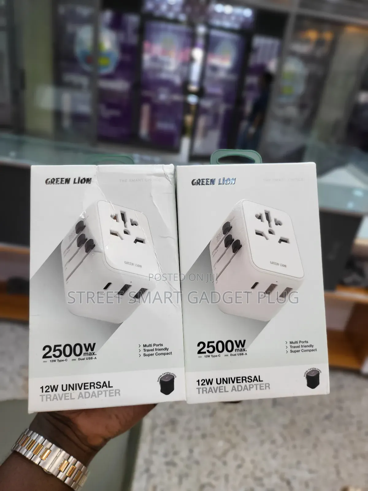 Greenlion 2500watts Universal Travel Adapter
