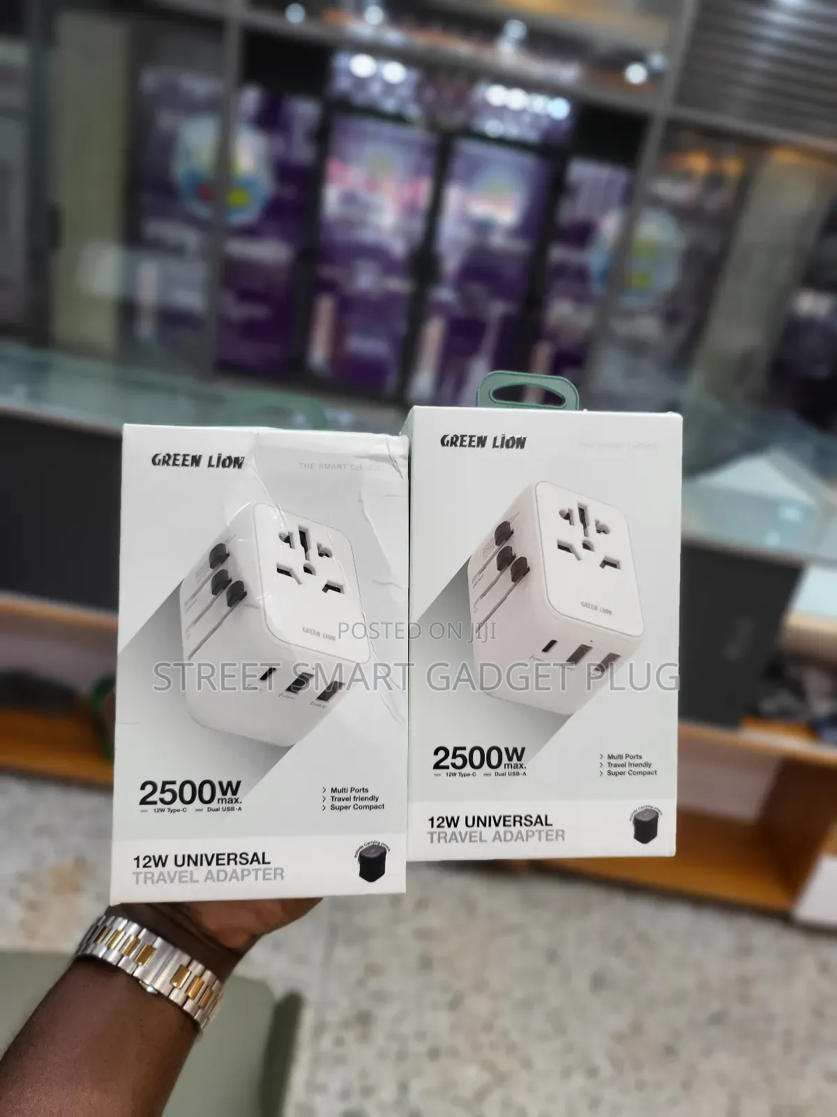 Greenlion 2500watts Universal Travel Adapter