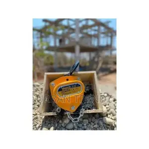 INGCO Chain Block, 1 Ton 3m