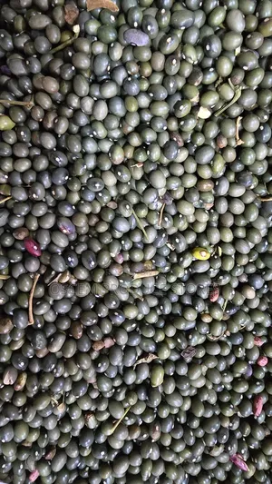Green Beans