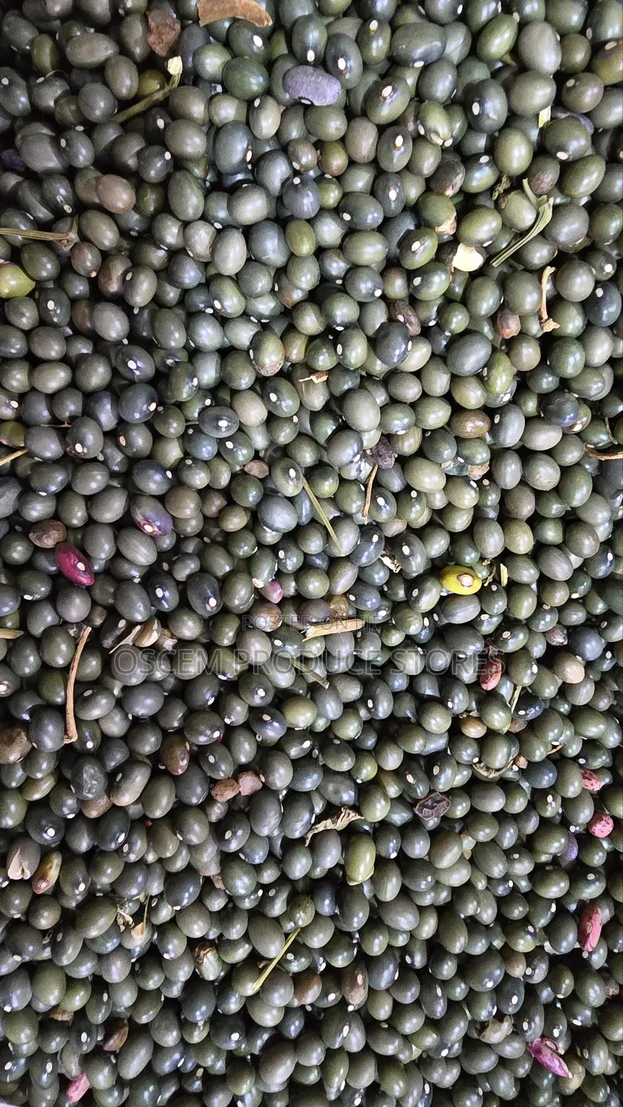 Green Beans