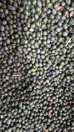 Green Beans
