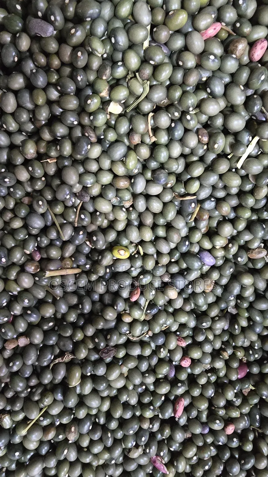 Green Beans