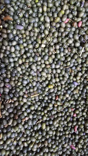 Green Beans
