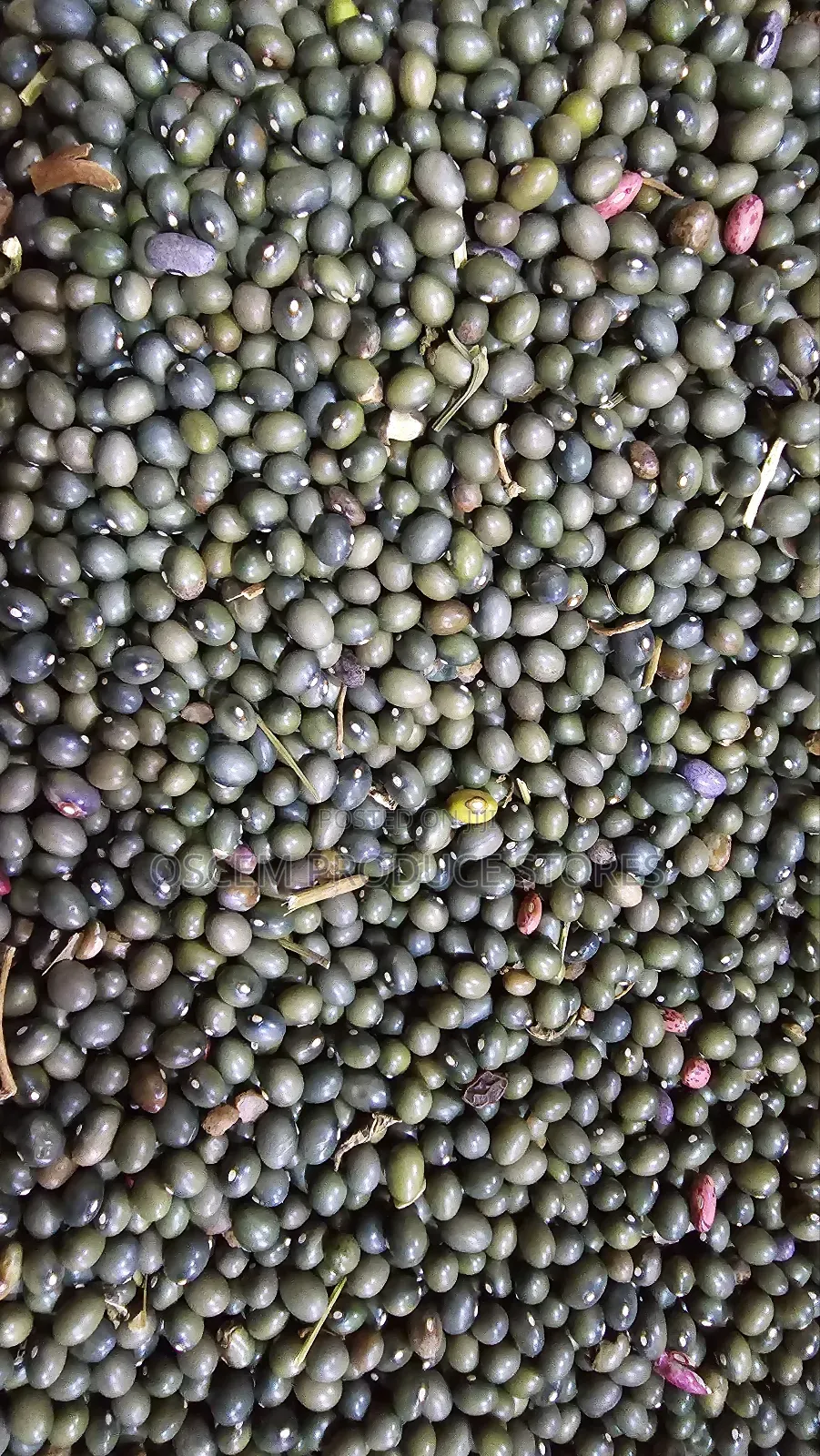 Green Beans