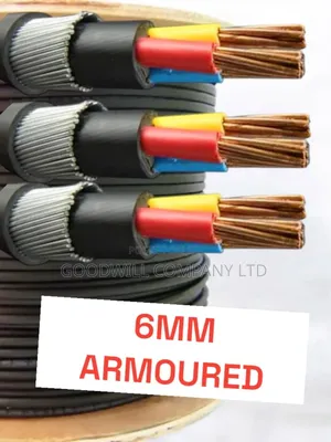 6mm Armored/Underground Cable Pure Copper