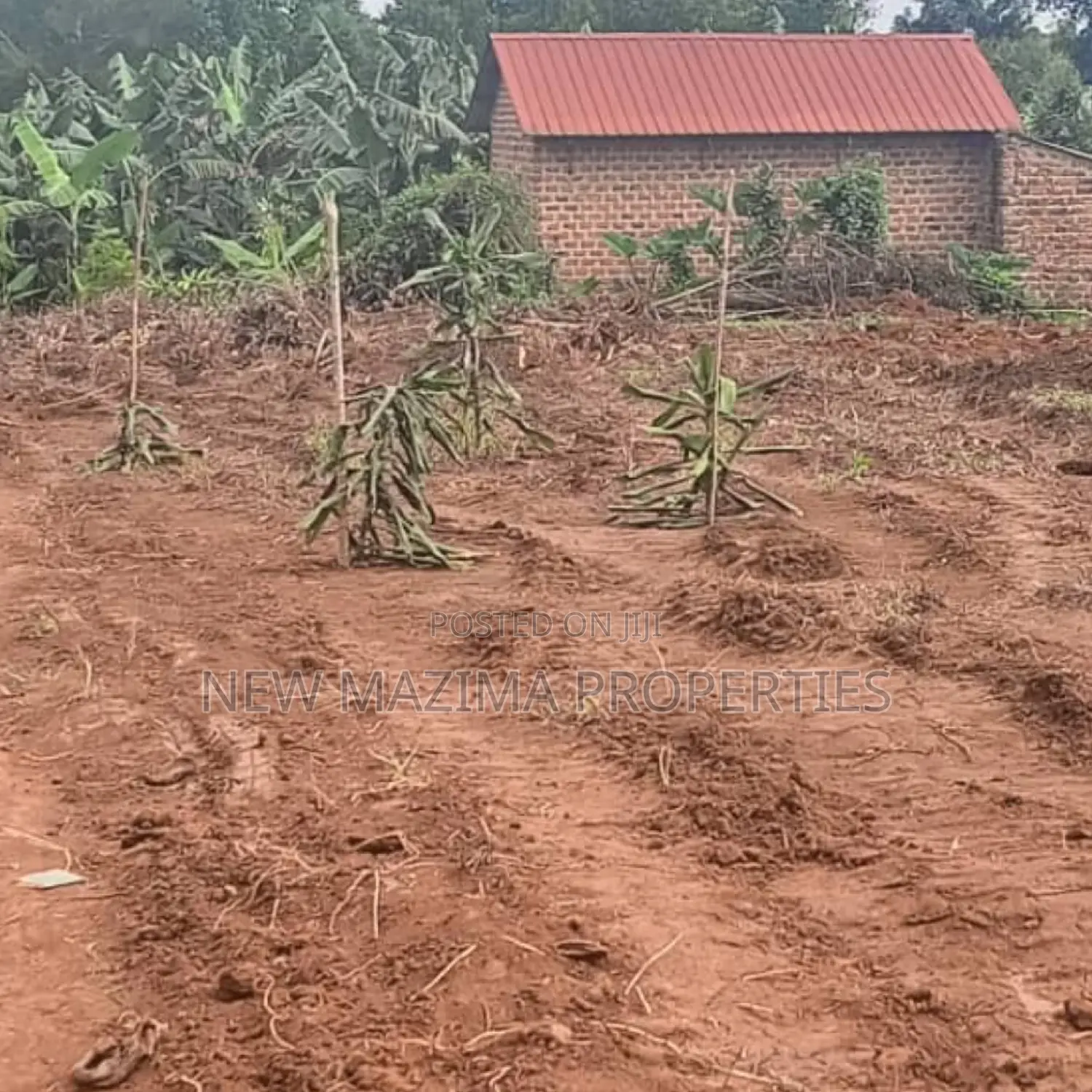 Affordable Plots On Quicksale In The Heart Of Matuga Kiwebwa