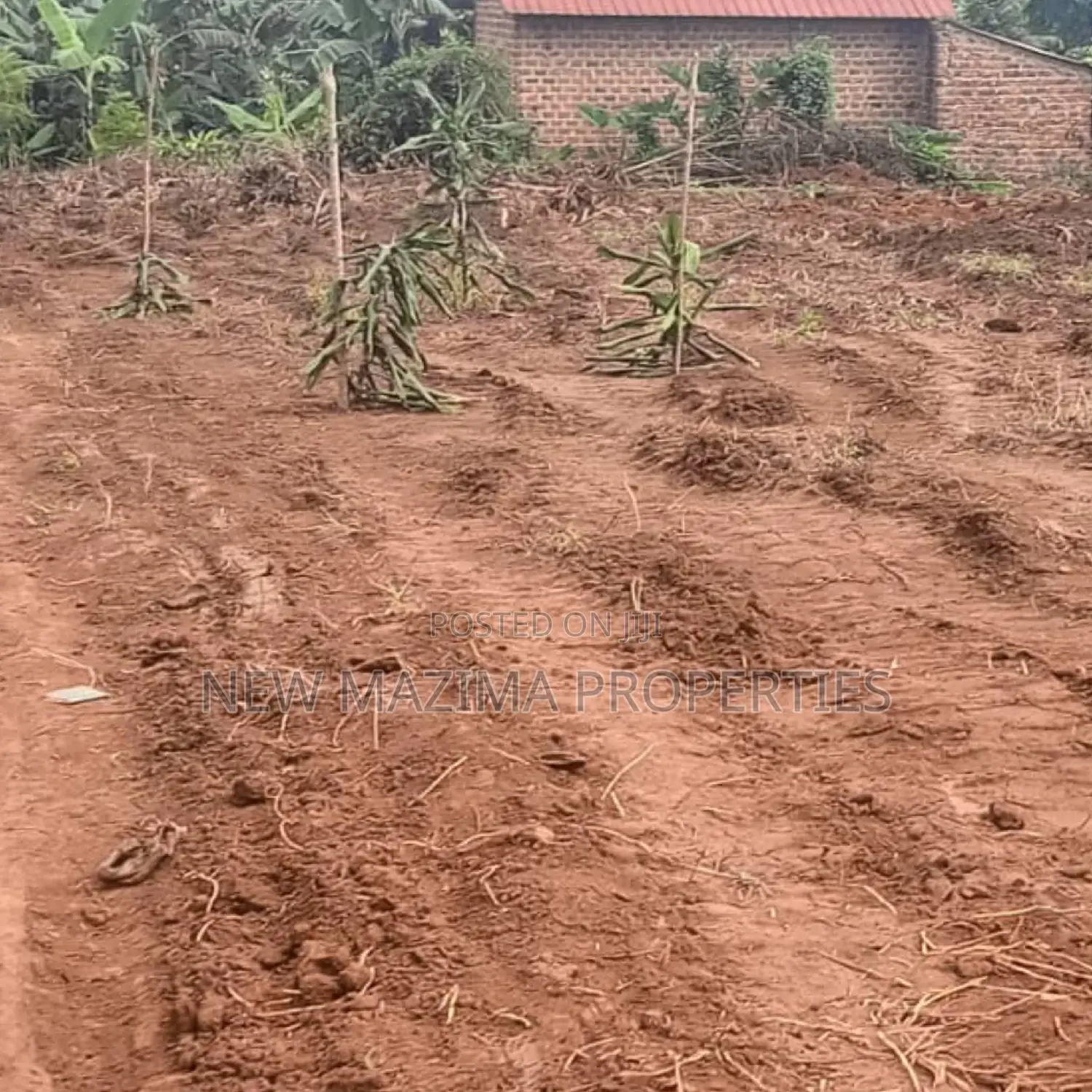 Affordable Plots On Quicksale In The Heart Of Matuga Kiwebwa