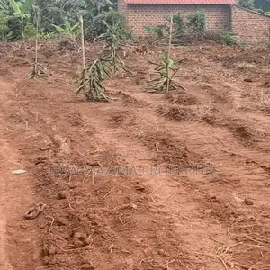 Affordable Plots On Quicksale In The Heart Of Matuga Kiwebwa